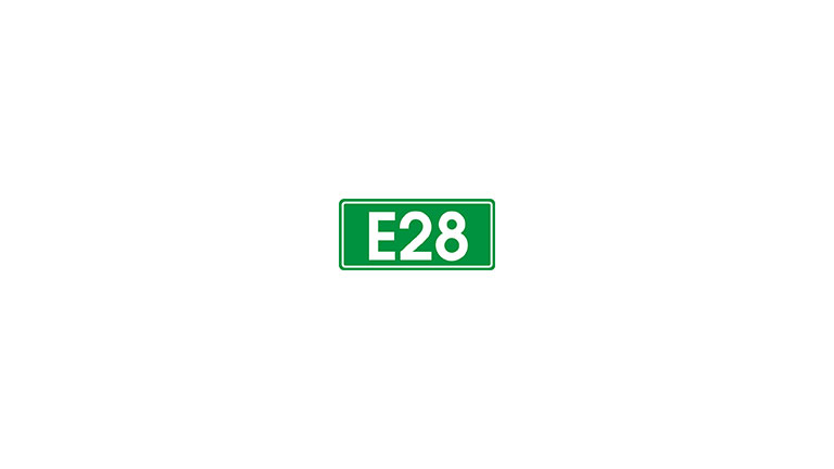 Znak E-16. Numer szlaku międzynarodowego
