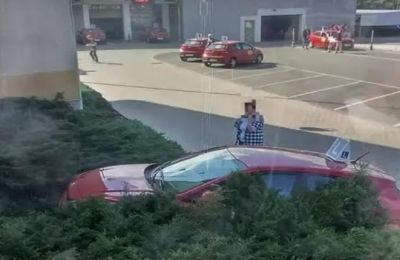 Egzamin na "prawko" w zaroślach